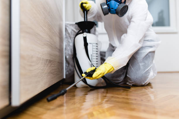 Best Pest Control for Businesses  in Evans, GA