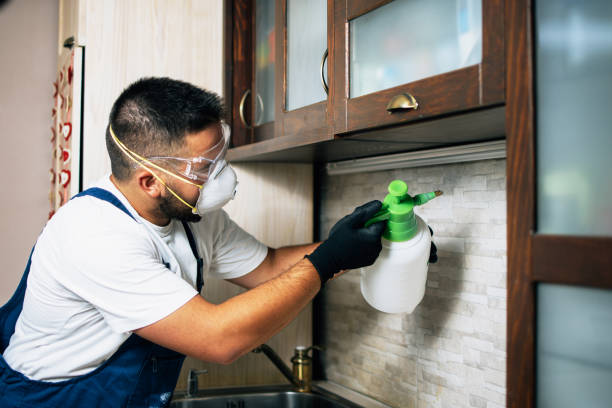 Best Wildlife Control Services  in Evans, GA
