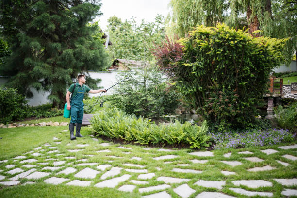 Best Wasp Removal Services  in Evans, GA