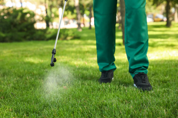 Best Flea Control Services  in Evans, GA