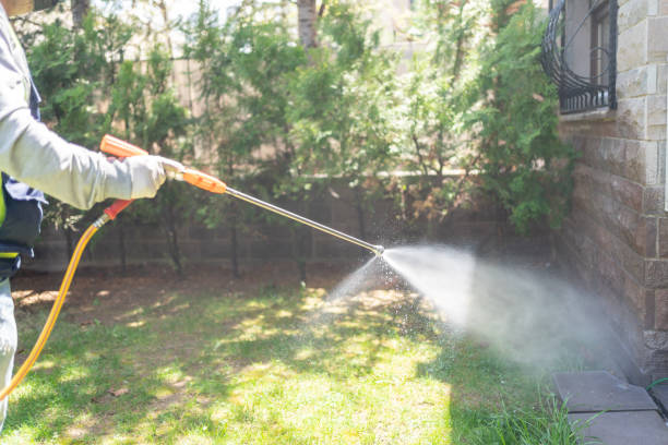 Best Mosquito Control Services  in Evans, GA