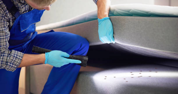 Best Ant Control Services  in Evans, GA