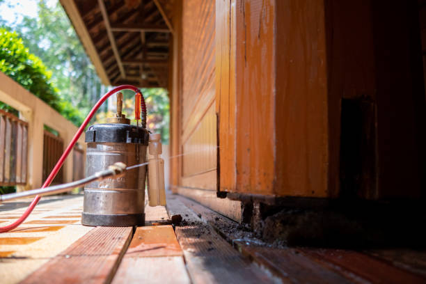 Best Pest Removal Services  in Evans, GA
