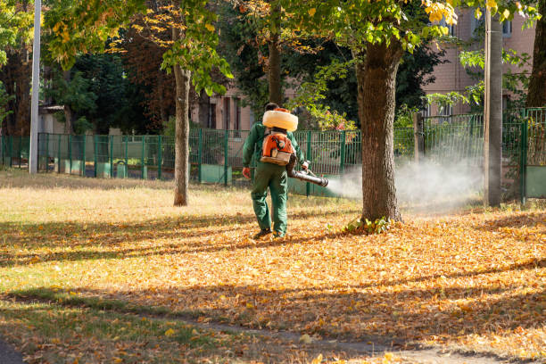 Trusted Evans, GA Pest Control Experts