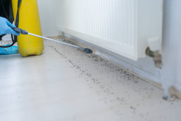 Best Cockroach Control Services  in Evans, GA