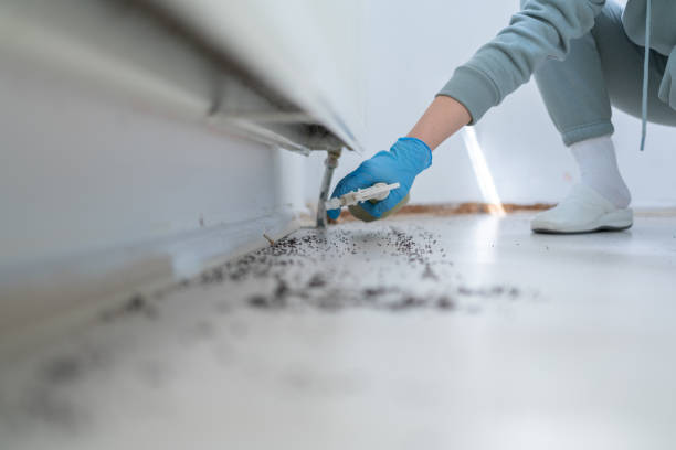 Pest Prevention Services in Evans, GA