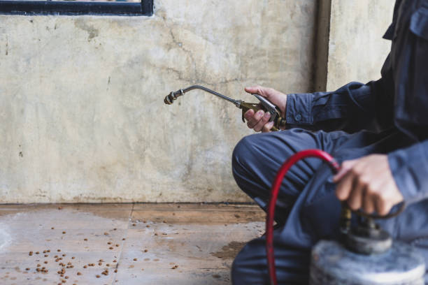 Best Termite Control Services  in Evans, GA